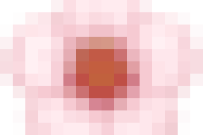 Trường THCS Trương Hán Siêu long trọng tổ chức Lễ sơ kết học kì I và chương trình trao quà: Xuân đầm ấm, Tết yêu thương!