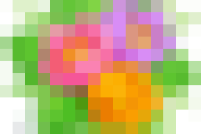 Tuần lễ hưởng ứng học tập suốt đời năm 2024